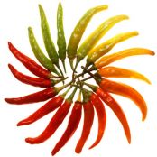 Spicy Mayo for Fish Tacos