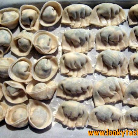 Spinach and Tofu Dumplings