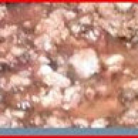 Pork Chili With or Without Beans