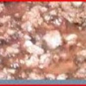 Pork Chili With or Without Beans