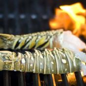 grilled lobster tail