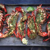 Grilled Lobster with Cilantro-Chile Butter
