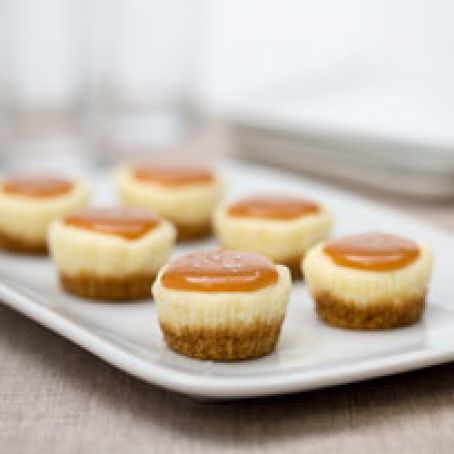 Salted Caramel Cheesecake Minis