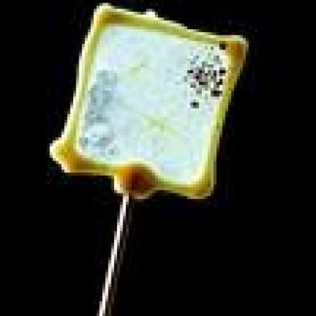 White Chocolate and Lemon and Coffee Candy Lollipop