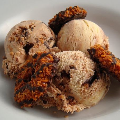 Samoa Ice Cream