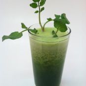Green Tea Weight Loss Smoothie
