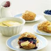 Cream Puffs with Lemon Mousse and Blueberry Sauce