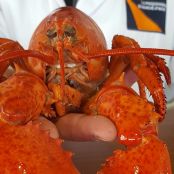 Butter Poached Lobster