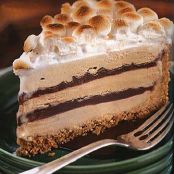S'mores Coffee and Fudge Ice Cream Cake