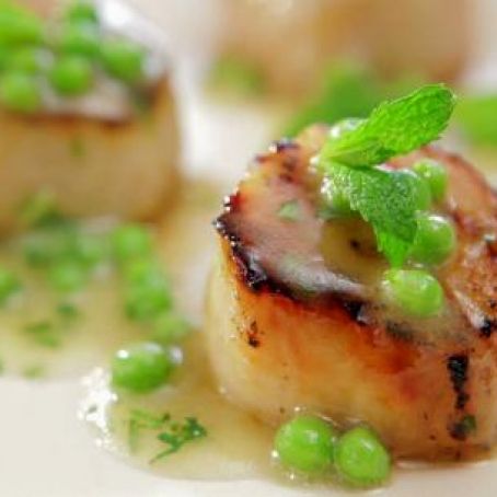 Scallops - Caramelized with Fresh Green Pea Vinaigrette