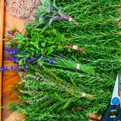 Drying Herbs