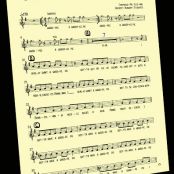 Salted Caramel Whoopie Pies