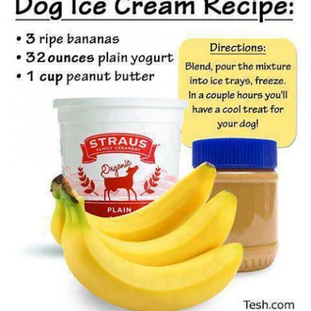Dog Ice Cream