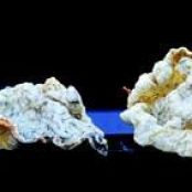 Puffed Cod Skin Crackling