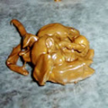 Pecan or Almond Clusters