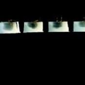 Juniper-Flavored Apple Vinegar