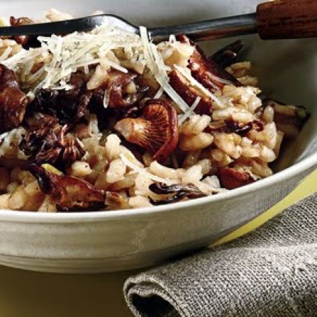 WILD MUSHROOM RISOTTO