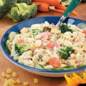 Creamy Shell Pasta Salad Recipe
