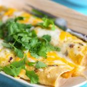 Shrimp Enchiladas