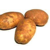 Bacon and Cheddar Potato Pancakes