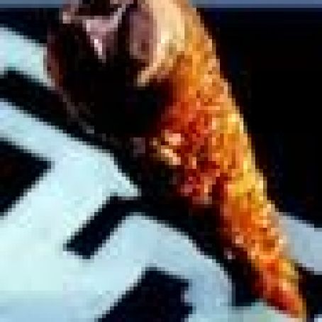 Sunflower Seed Cornet and Chocolate Sorbet