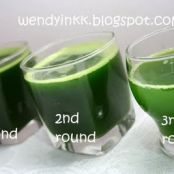 OTHERS - Concentrated Pandan Juice