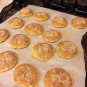 Snickerdoodles! | Low Carbing in AZ