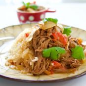 Venezuelan Shredded Beef - Made In The Instant Pot