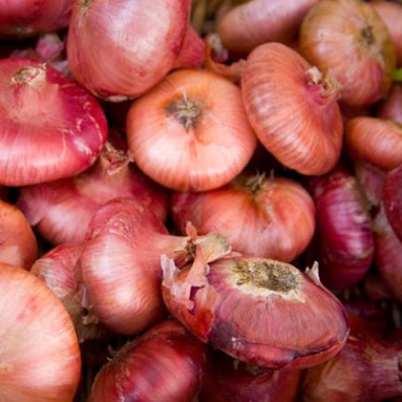 Burgundy-Glazed Cipollini Onions