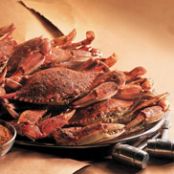 Maryland Blue Crabs