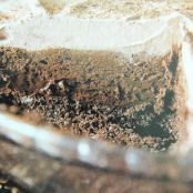 Triple Chocolate Pie