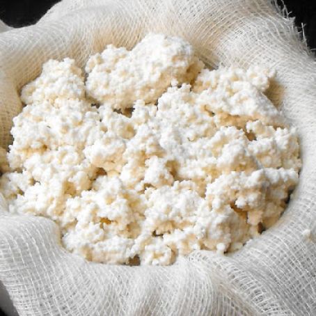 Homemade Ricotta Cheese