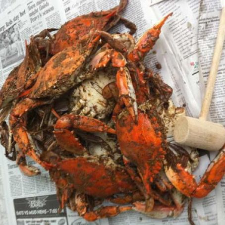 Maryland Steamed Crabs