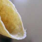 Gluten-free Sourdough “Flour” Tortillas