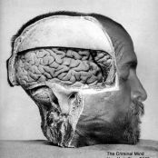 C. sweet potato pie $9.