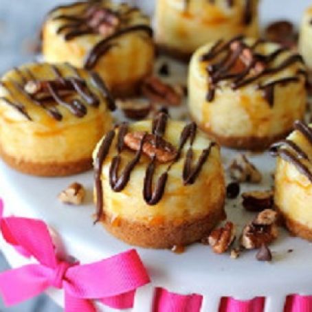 Mini Vanilla Bean Turtle Cheesecakes