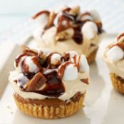 Turtle S'mores Cheesecake Minis