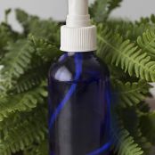 Focus Aromatherapy Mist