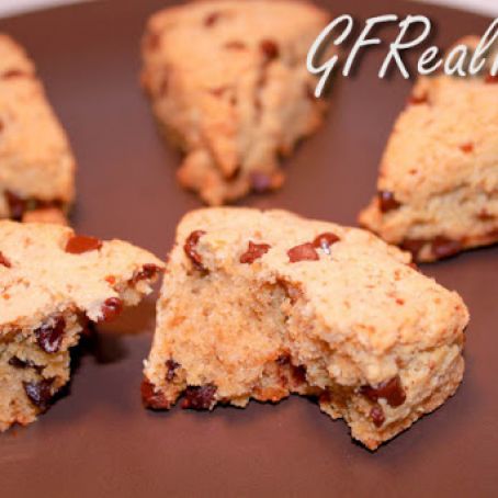 scone - gf chocolate chip