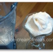 Vitamix 30-Second Vanilla Ice Cream
