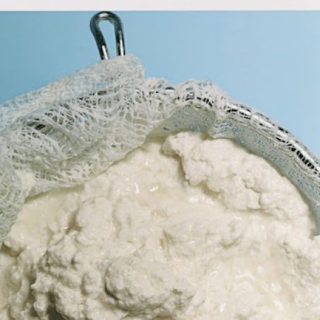 Fresh Ricotta Cheese
