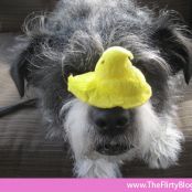 Marshmallow Peeps for Dogs