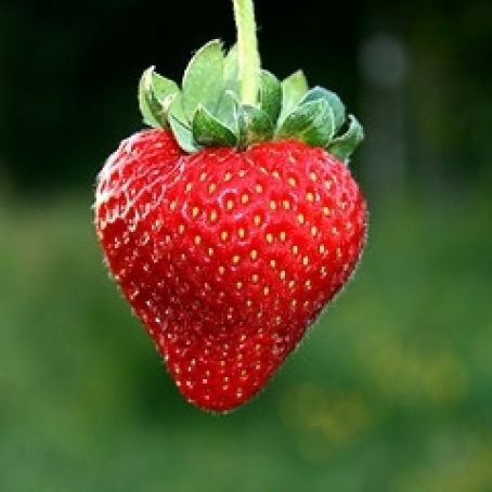 Strawberry Pound Cake, Homemade