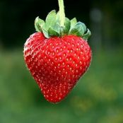 Strawberry Pound Cake, Homemade