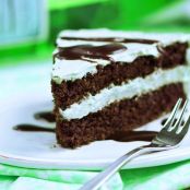 Mint Chocolate Double Layer Cake
