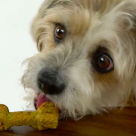 Doggie Farm Fresh Veggie Bones