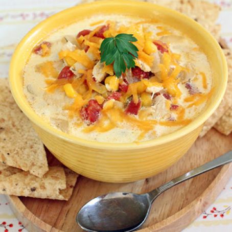 Slow Cooker Enchilada Soup