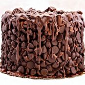 Chocolate Wasted Cake