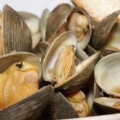 Steamed Clams or Mussels