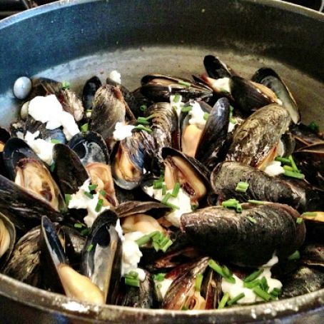 Steamed Mussels with Pancetta, Yuengling, and Goat Cheese